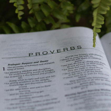 Bible open with Proverbs highlighted