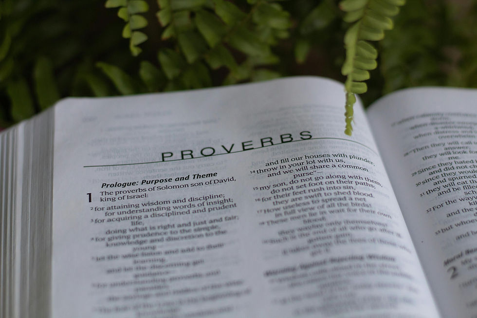 Bible open with Proverbs highlighted