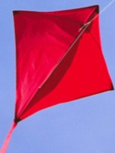 Scarlet Kites Strategy, are you ready for your business to fly higher?