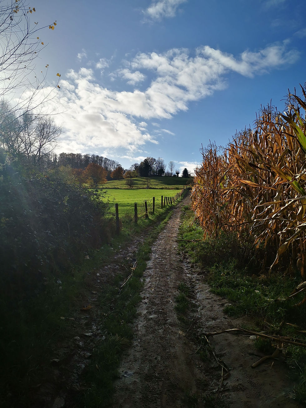 Tweebergen wandelpad