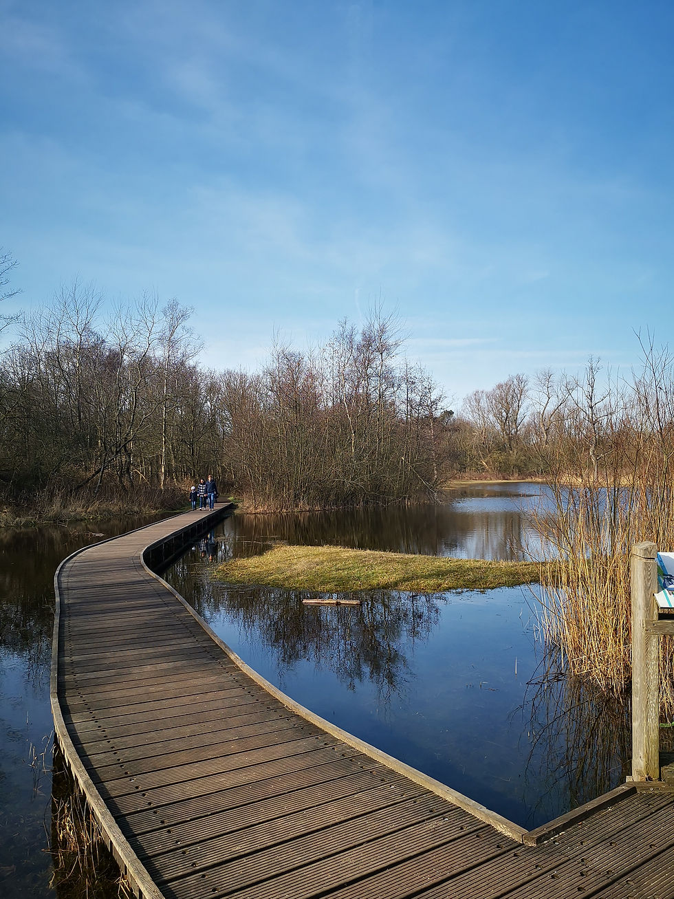 Zwinduinen- en polders
