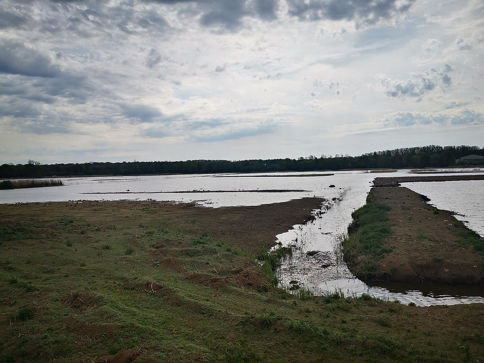 Provinciedomein Het Vinne