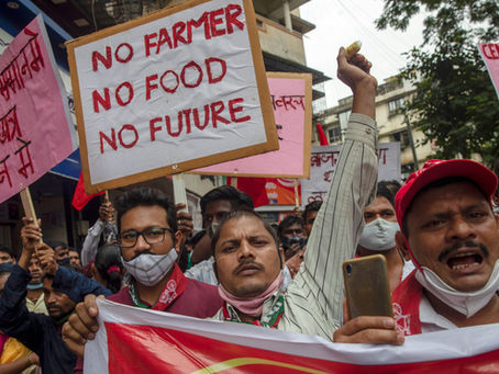 India's Modi to halt contentious farm laws