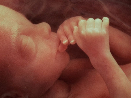 US Supreme Court to hear landmark challenge to 50-year abortion law