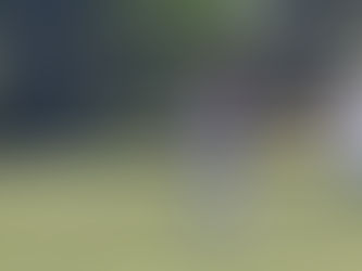 Western Districts light up Eyre Peninsula cricket