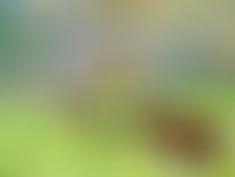 Pasture Focus for BetterBeef Farm Walk