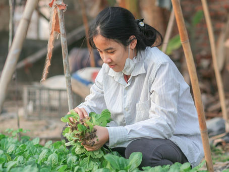 Good morning Vietnam - Australia finds an ag visa partner at last