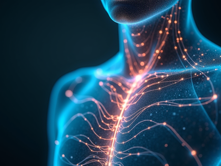 Energy Flow: Unlocking Your Vital Energy