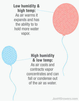 Vapor Pressure Deficit.jpg