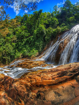 bisnau cachu foto perfeita (2).jpg