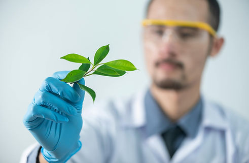 Lab tech with leaf