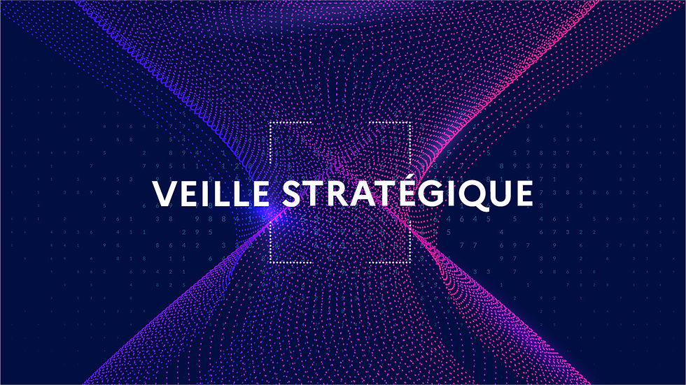   La stratégie européenne ne peut faire l’économie d’un renforcement de la résilience civique et politique dans les États membres. L’instabilité d’un pays comme la Slovaquie rejaillit sur l’ensemble de l’architecture politique européenne.