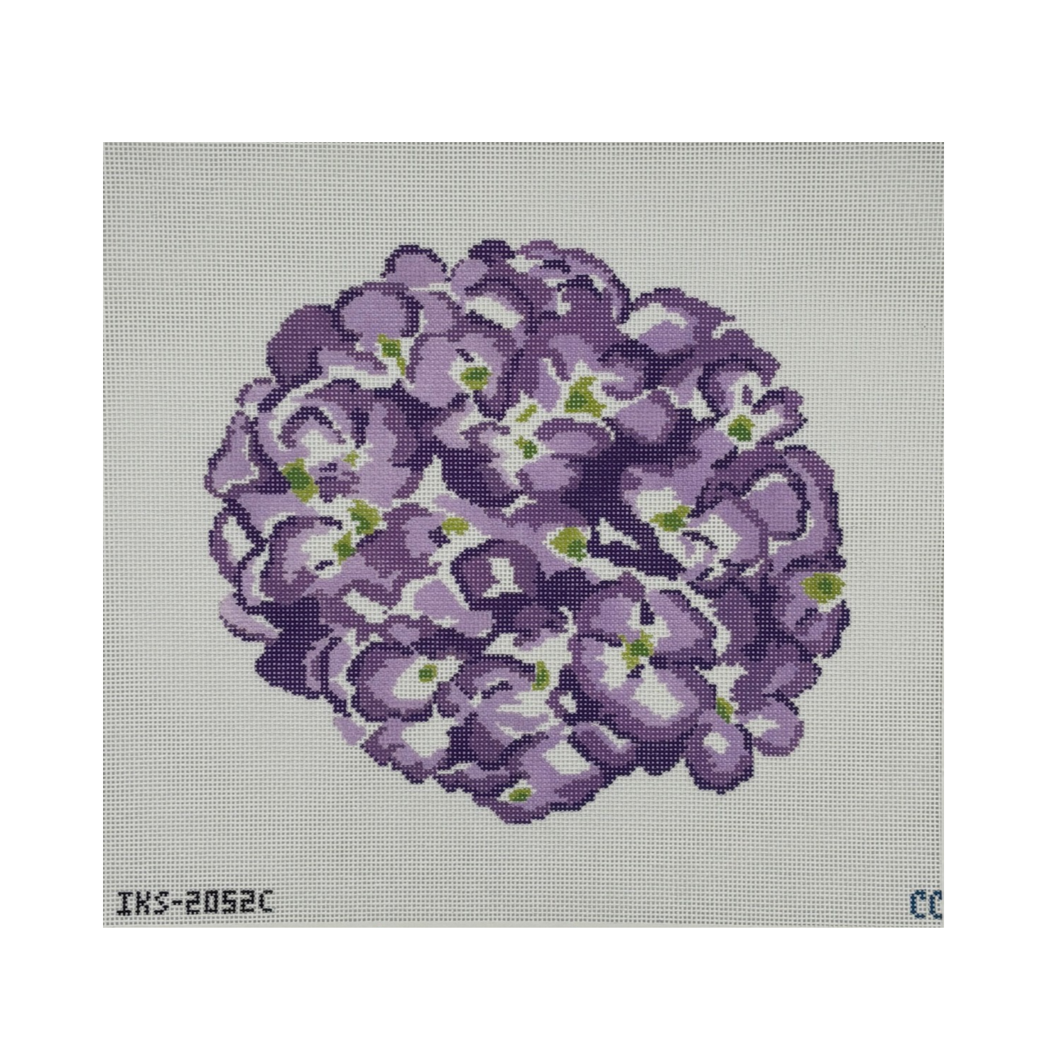 Purple Hydrangea