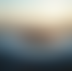 Analyse des Bundesliga-Spiels 1 FC Köln gegen Werder Bremen am 29 Spieltag