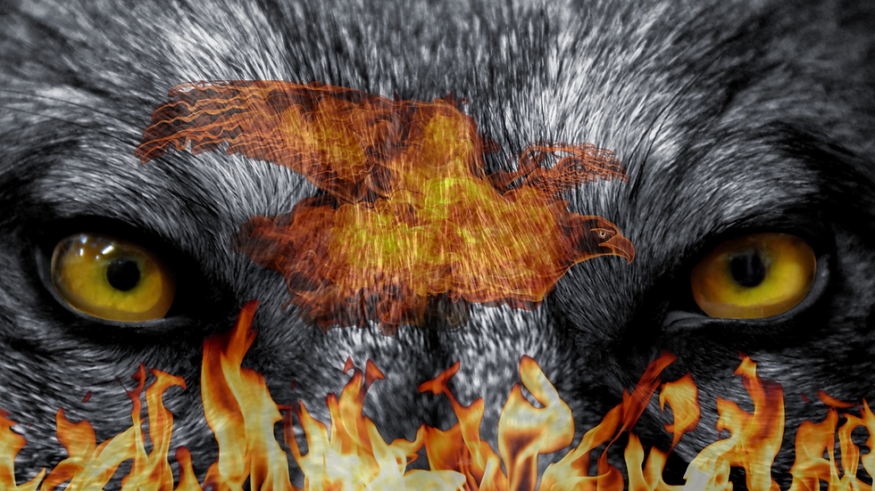 TAROT INTERACTIVO (2).png