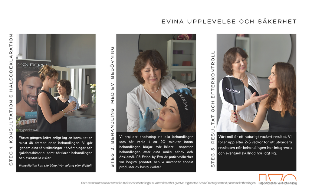 EVINA 2024 WEBSITE (2).png