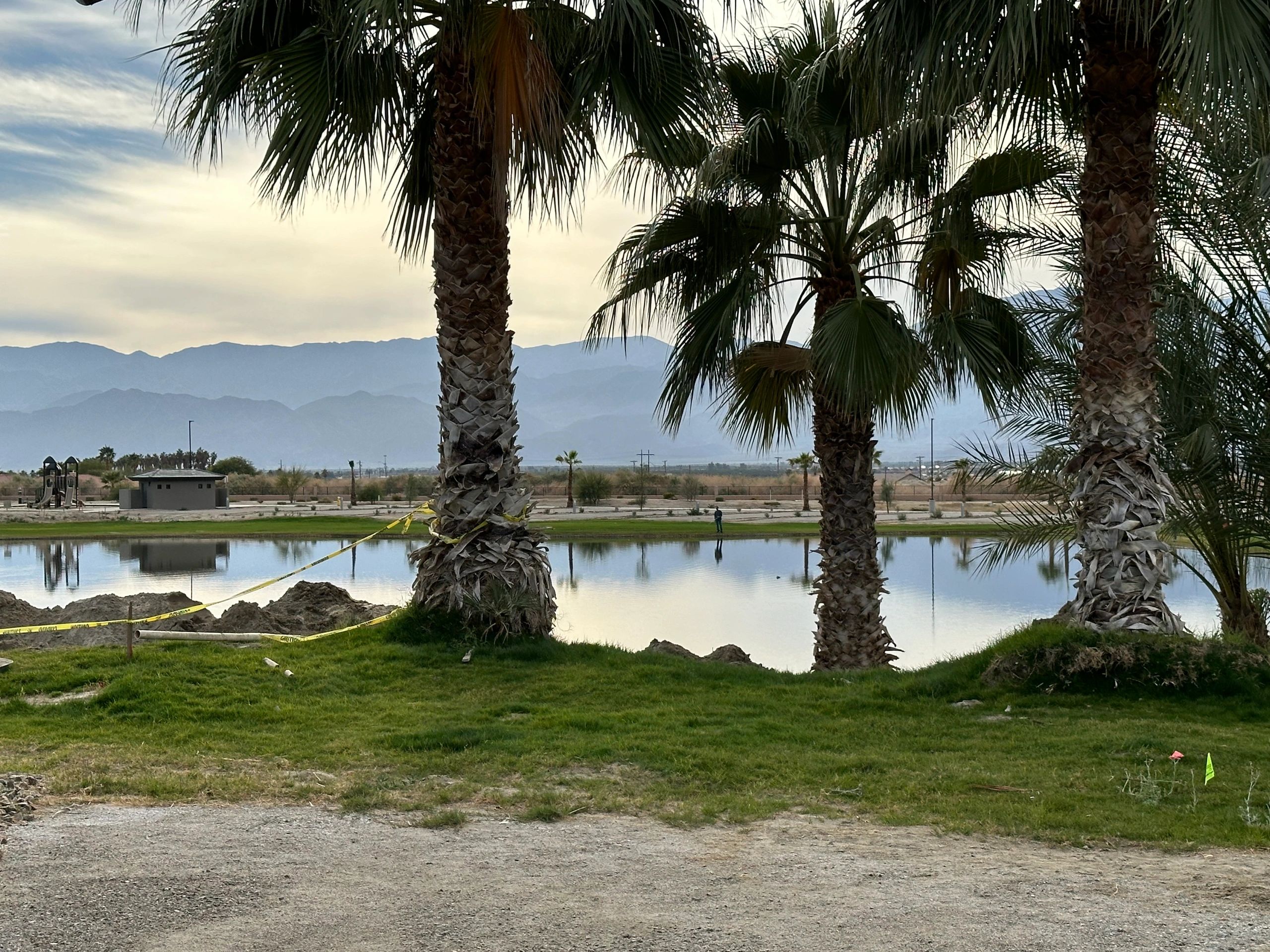 Palm trees overlooking one of the lakes at the RV resort