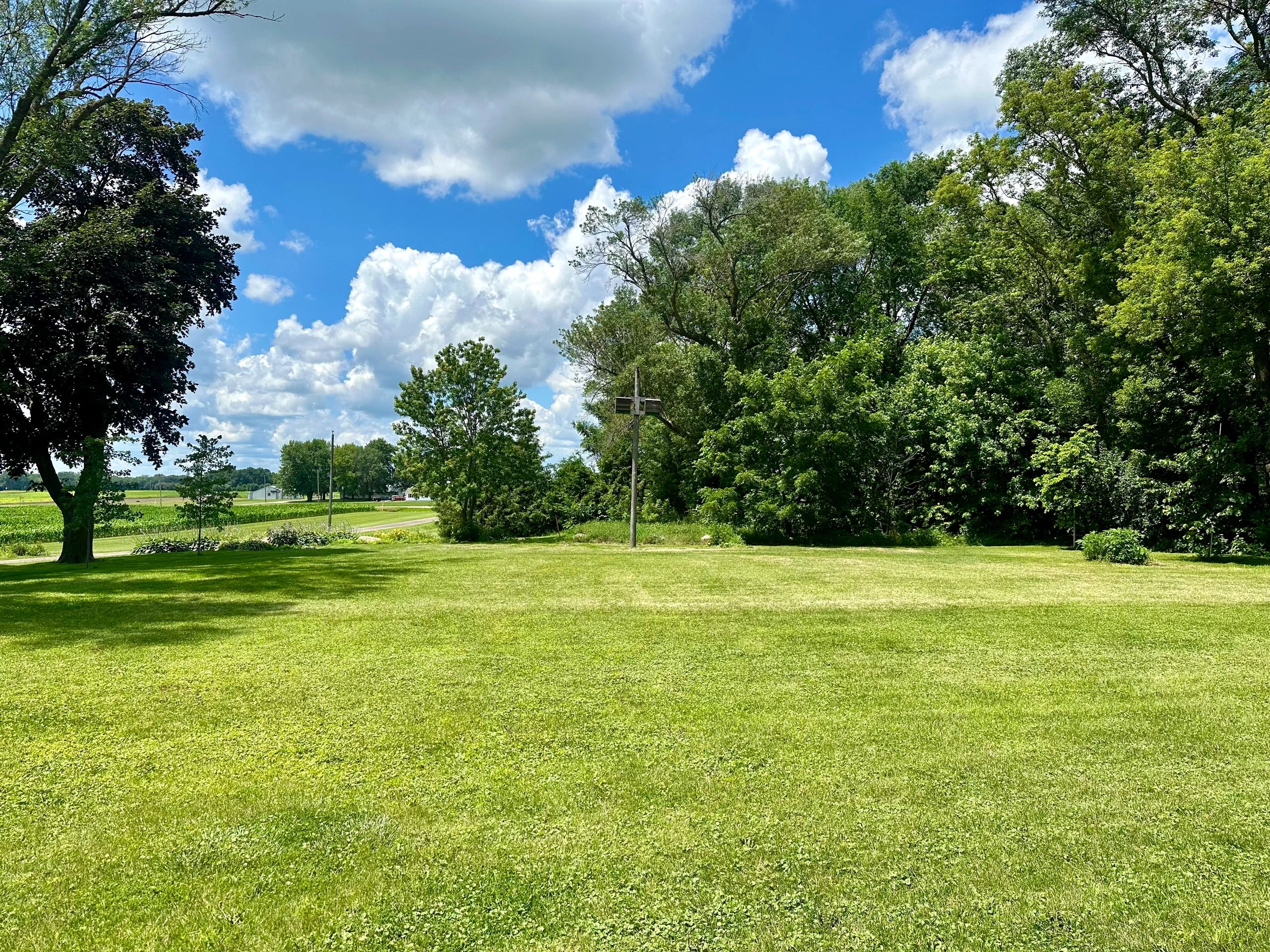 Our camp side view at Trevor's house