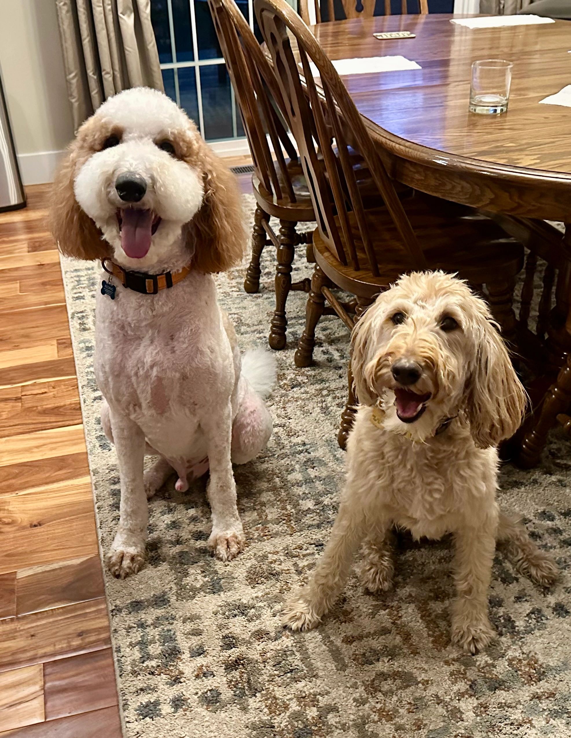 Flynn and Jazmine got to meet and hangout, too!