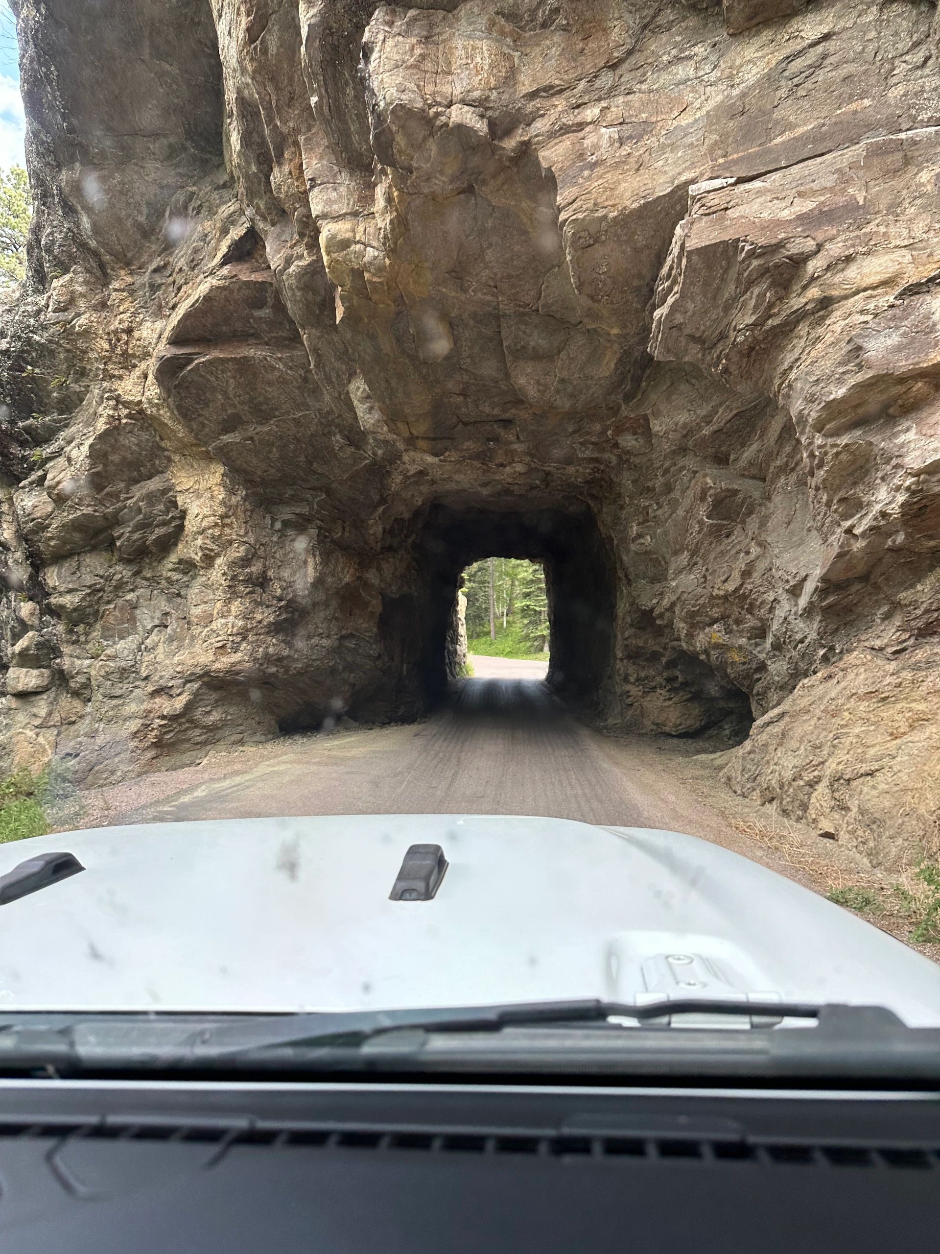 Needles Highway: less than 9 ft wide here!