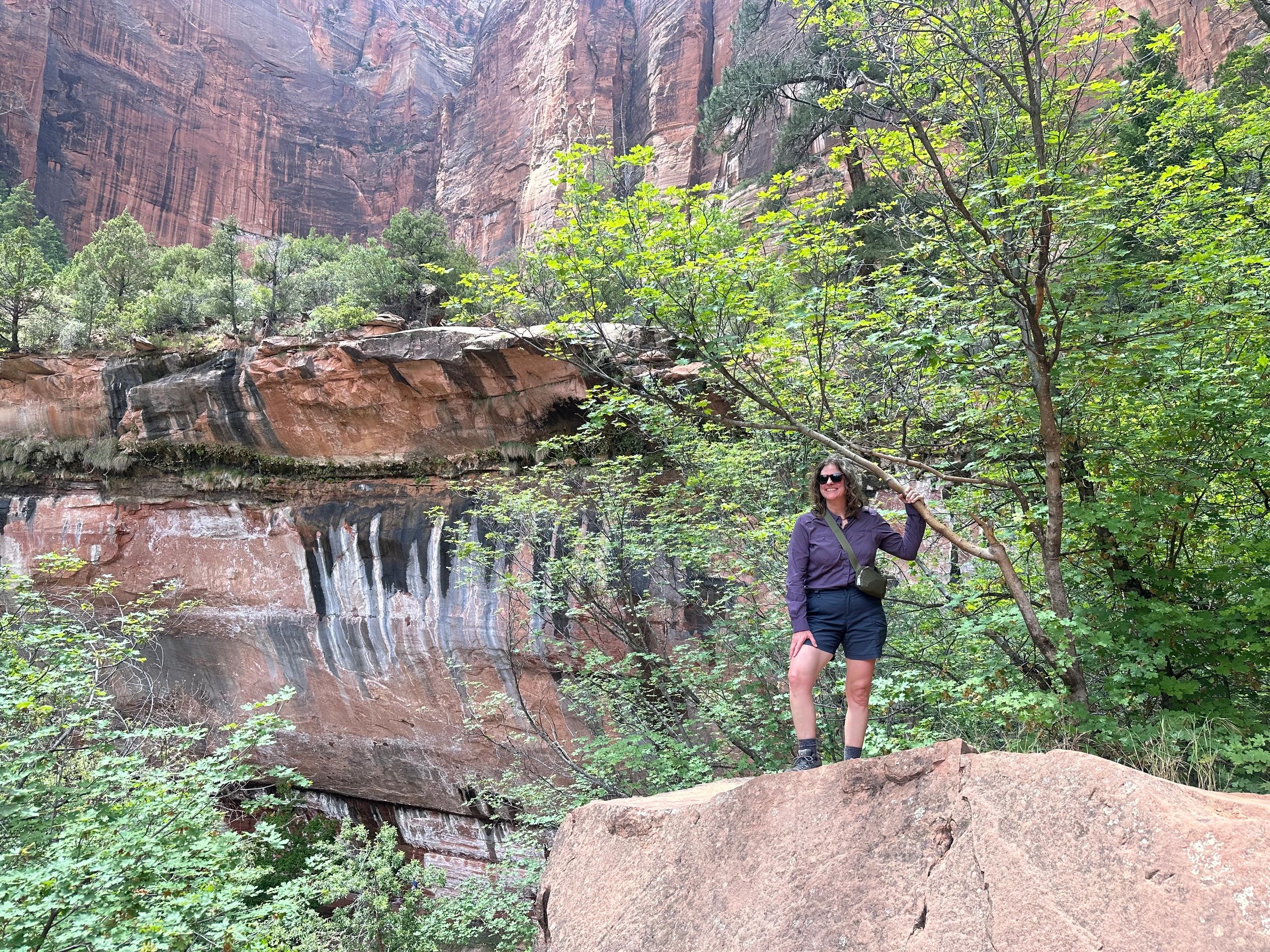 Lower Emerald Pool trail