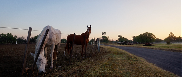 Screenshot 2025-03-06 at 8.51.16 p.m..png