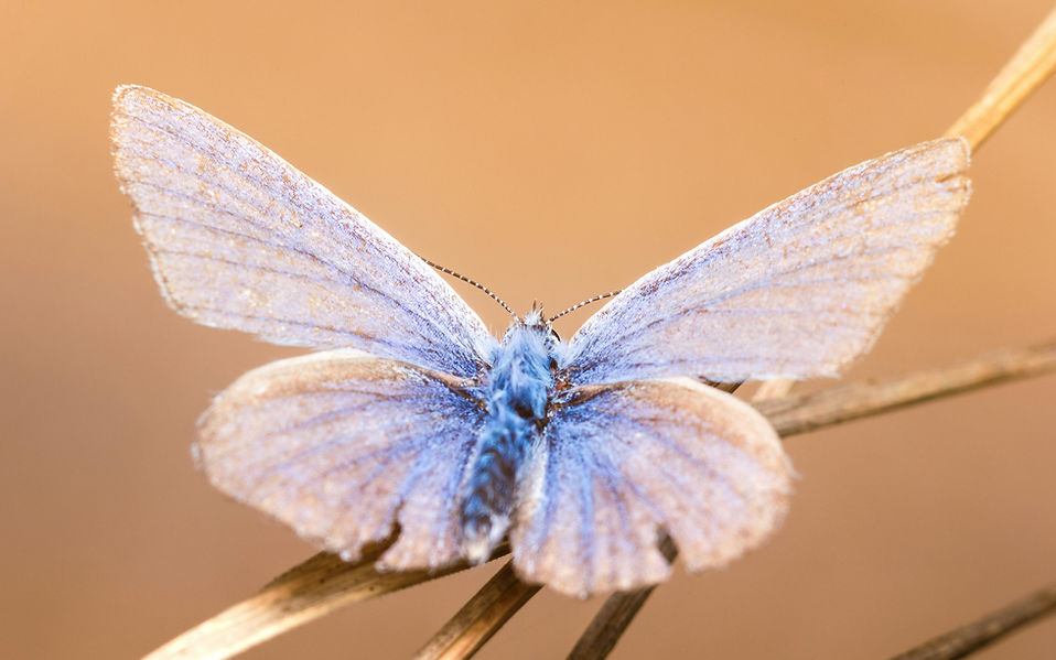 pexels-marek-piwnicki-3907296-14714440.jpg