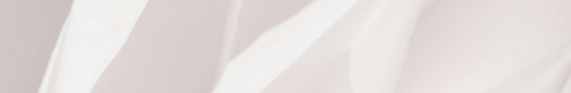 Purifiez votre maison ou espace de travail