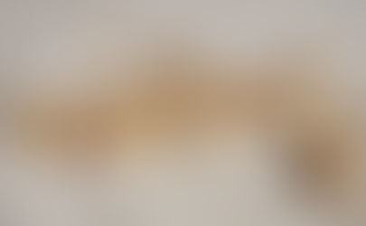 Reducing “healthy” fat intake improved digestion and weight loss.