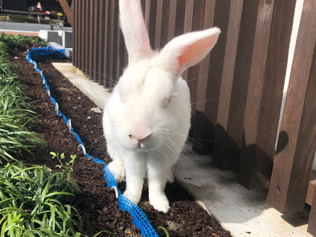 春の空気入ってます