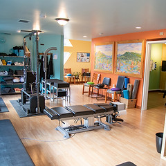 best chiropractor asheville 