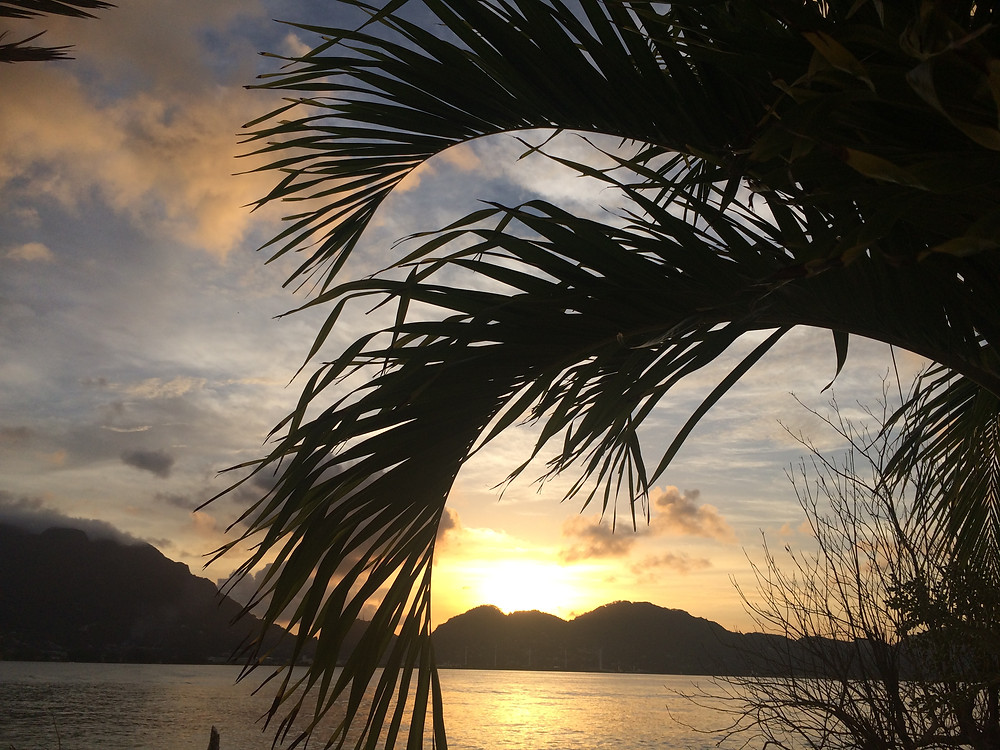 View of Mahe at sunset from Villa de Cerf