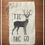 Thumbnail: Tic Tac Go - Deer