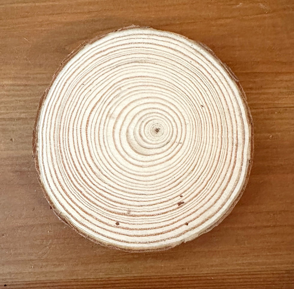 Thumbnail: Columbia Wood Coaster Set - Birds