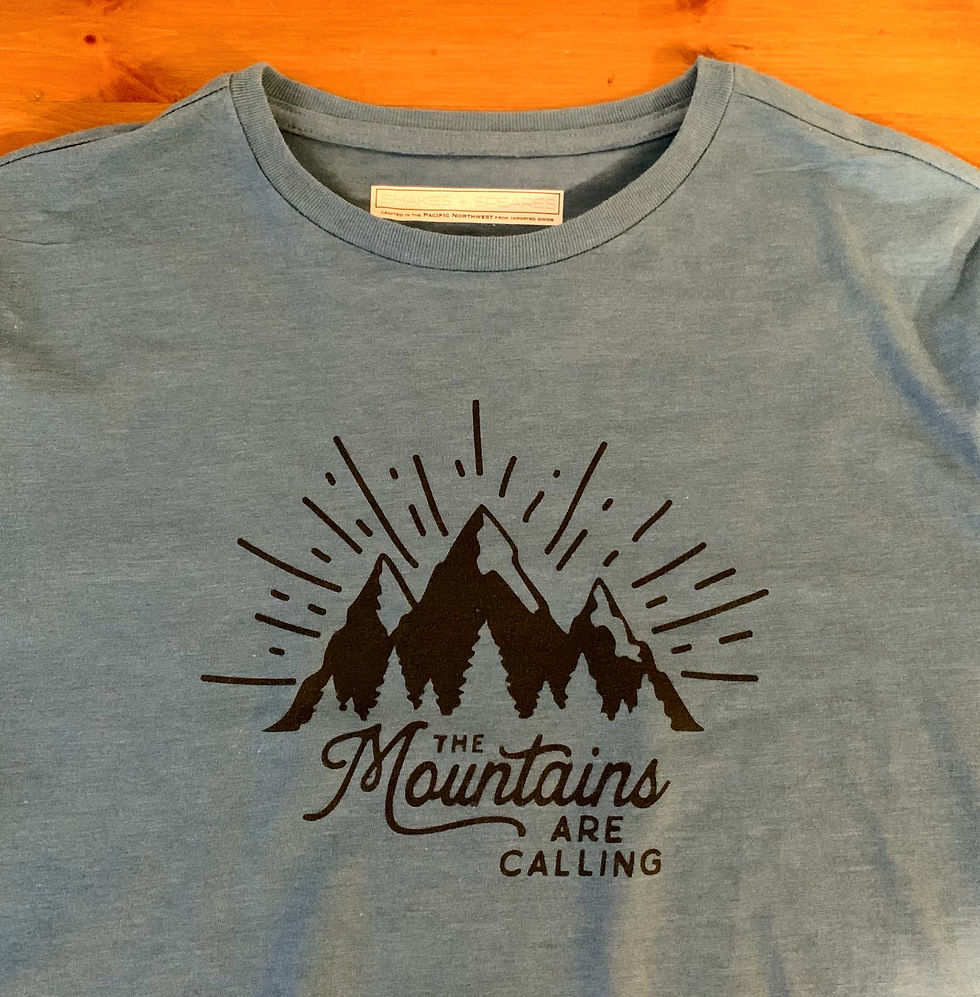 M's Blue Graphic Tee - Mountains