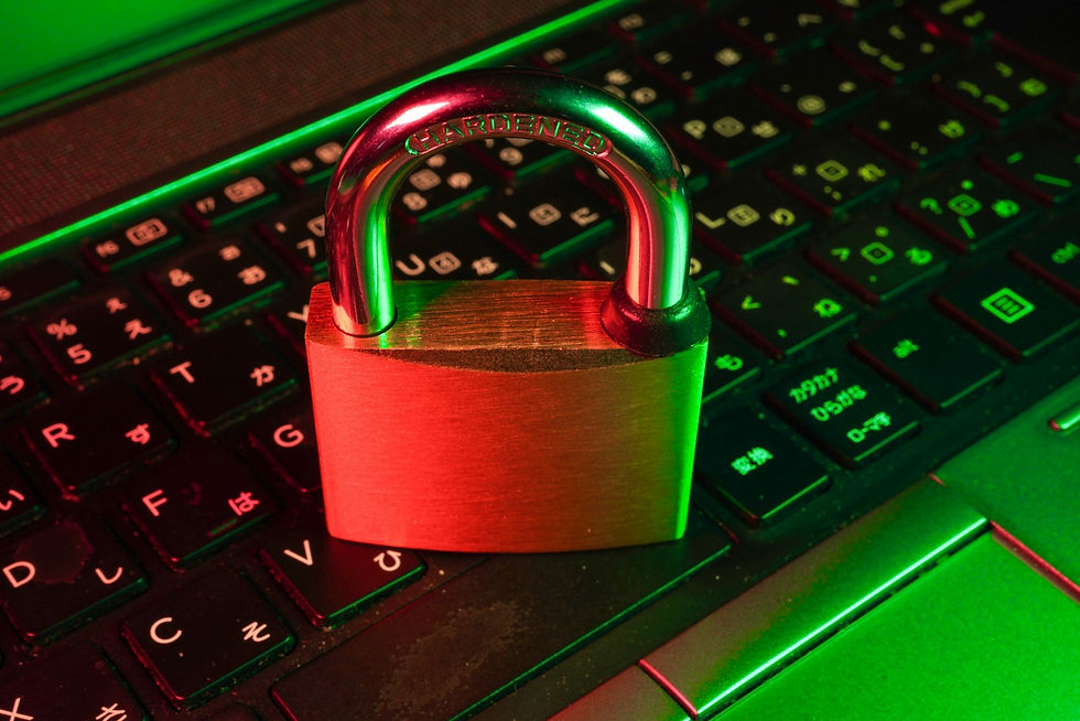 Domain security controls used to prevent fake NFT mint websites