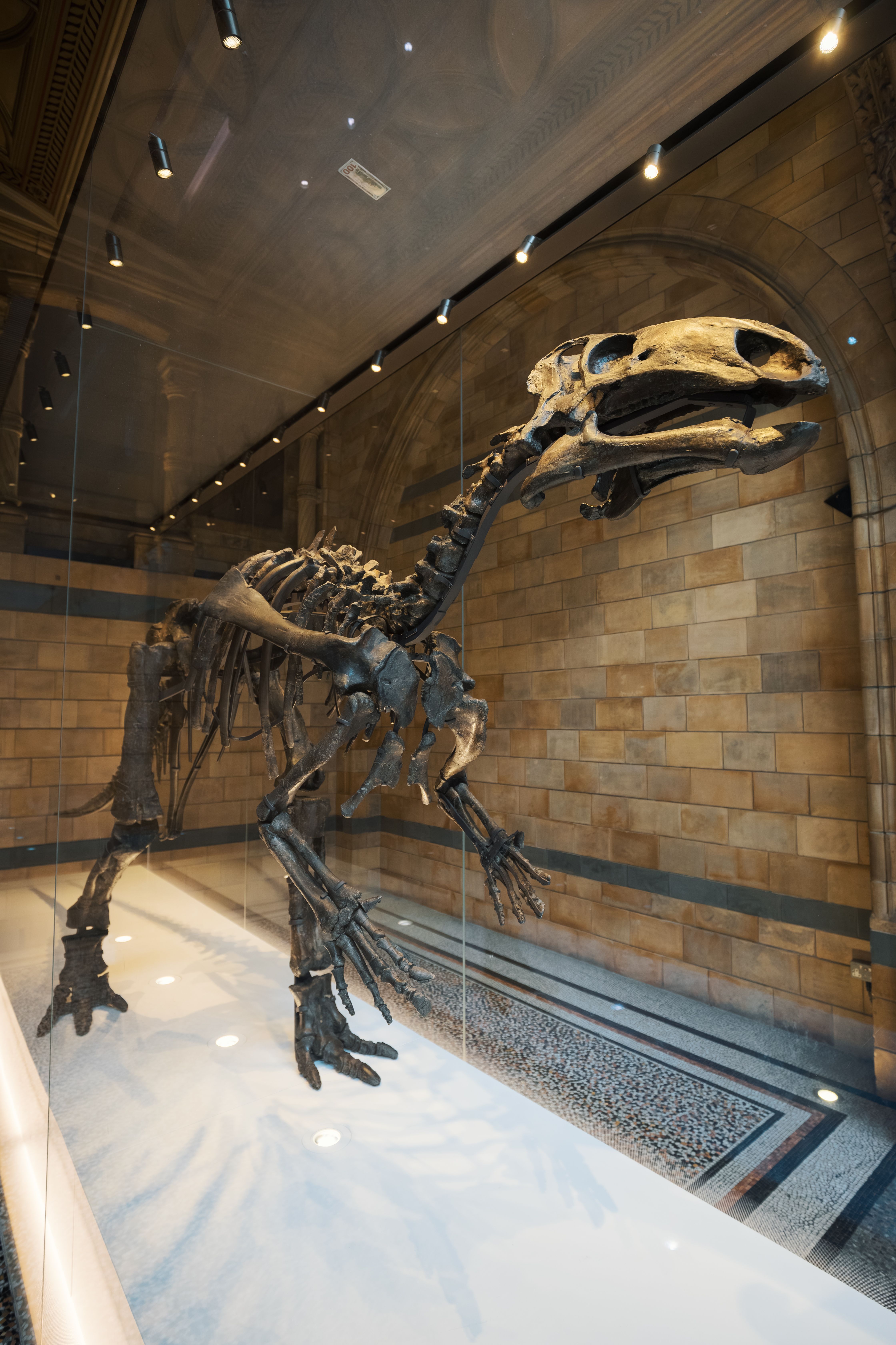 Majestic dinosaur skeleton introducing a production guide to monster design