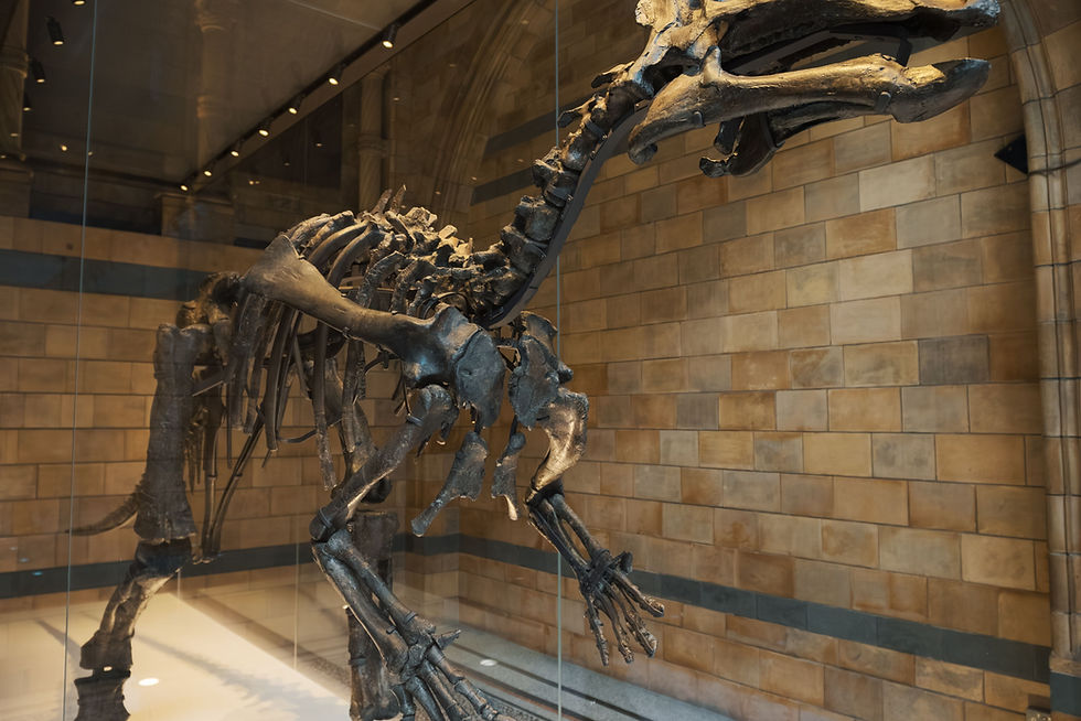 Majestic dinosaur skeleton introducing a production guide to monster design