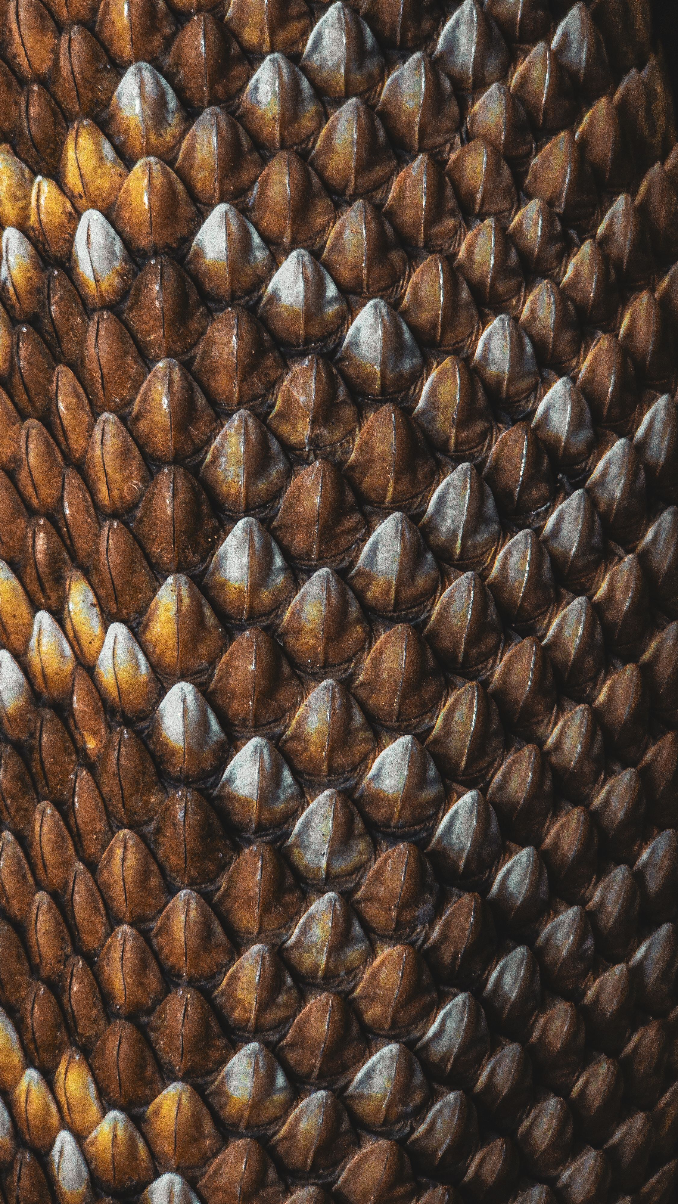Detailed reptile scales providing surface reference for a production-ready monster