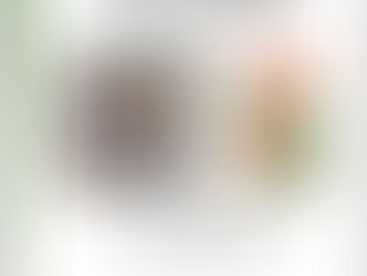 Rencontre à la médiathèque de Rieulay !