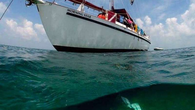 Bahamas, Blackbeard's Liveaboard October 3-9, 2026