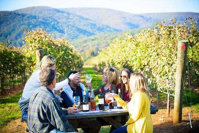 Degustação de vinhos em vinícola do Vale do Maipo