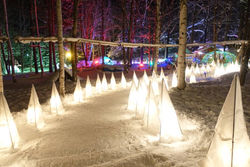 歓寒村2019-2020 (2)