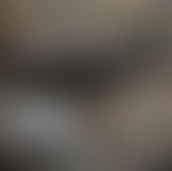 Startschuss der Pflanzenanzucht 2026