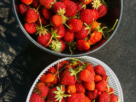 Im Jardin de Vi wird eingekocht Juni Edition