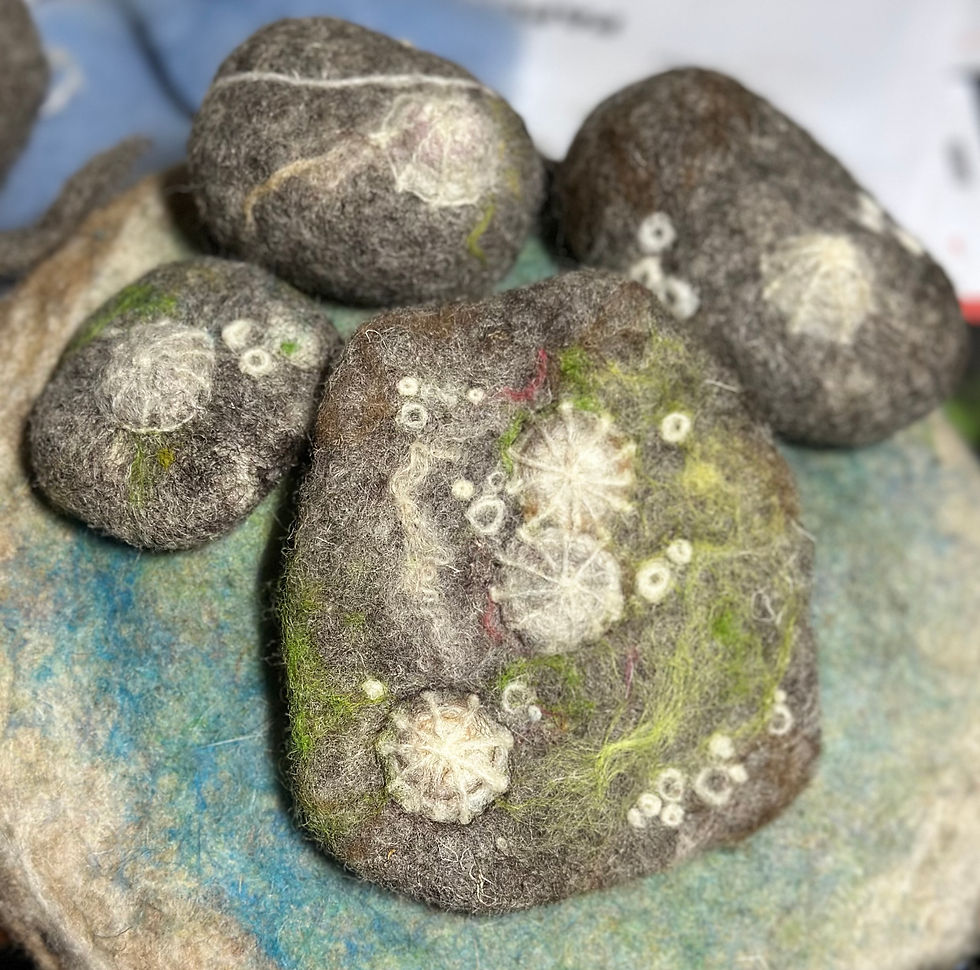 Thumbnail: Needle-Felting: Rock Pool