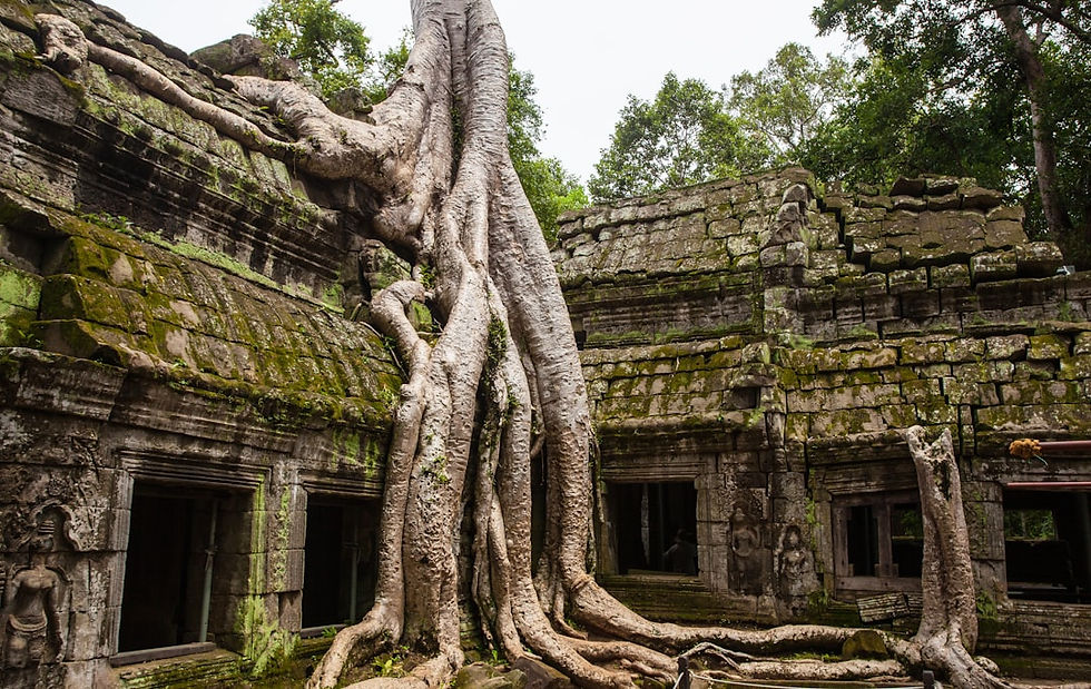 Ancient Temples Siem Reap Cambodia | Travel Guide