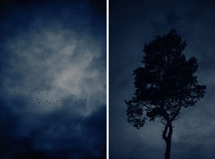 Saskia van den Boom_Stilte in donker_BeterinBeeld-Tweeluik-hoge-resolutie-web.jpg