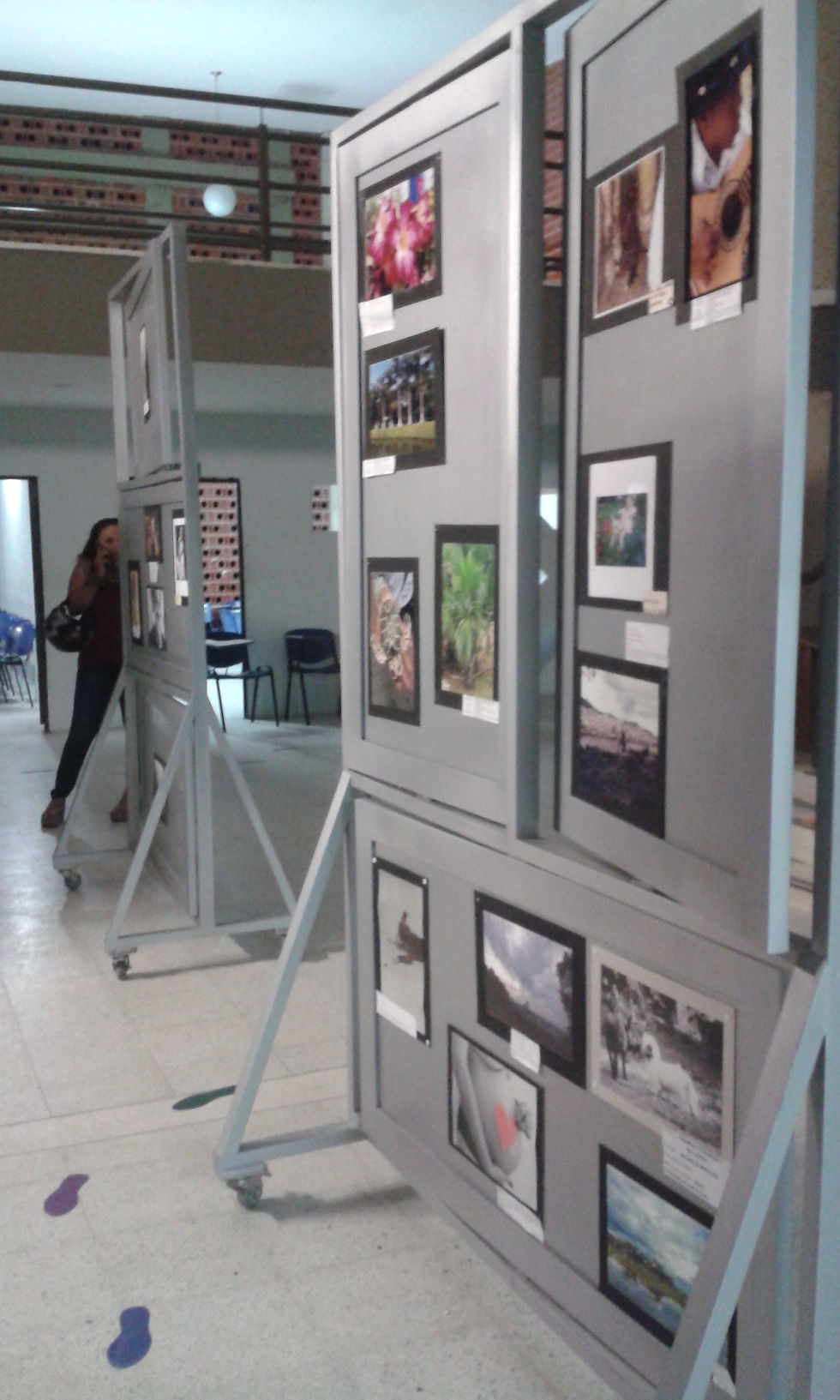 Miradas 2014