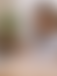 ASBL : seuils et modèles de comptes annuels à utiliser